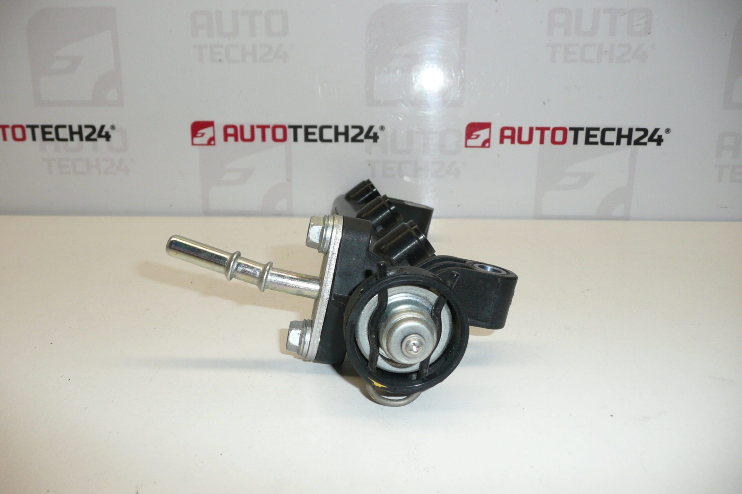 Vstrek rampa Citroën Peugeot 23814-0Q010-A 1579JP