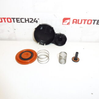 Sada membrány veka ventilov 1.6 HDI 0248S0