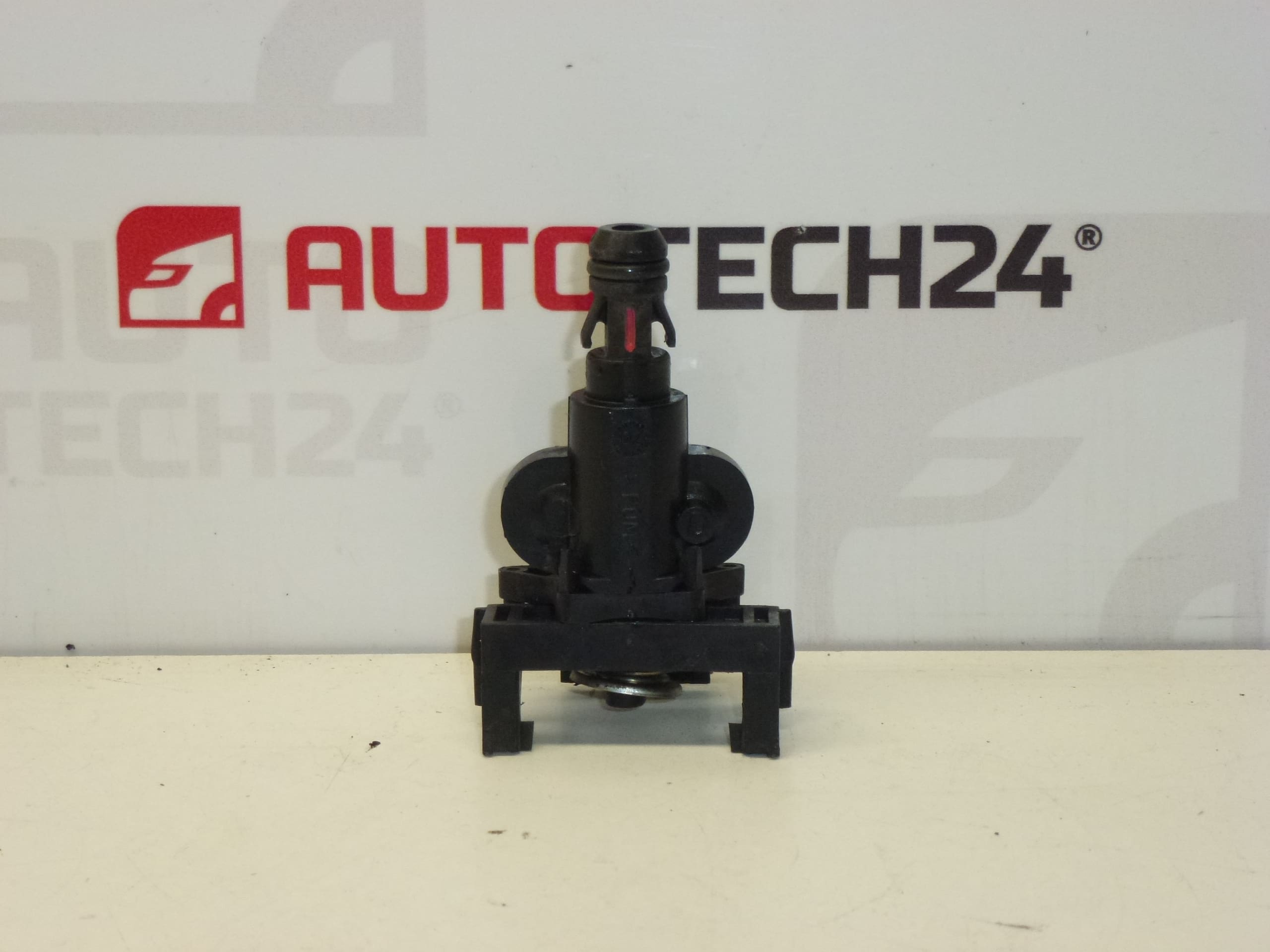 Tryska ostrekovača Citroën Peugeot 6438F5