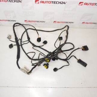 PDC Front Citroen C5 X7 9684768580 6577ec