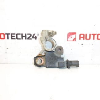 Citroën Peugeot 9666919780 Negatívna pólová jednotka