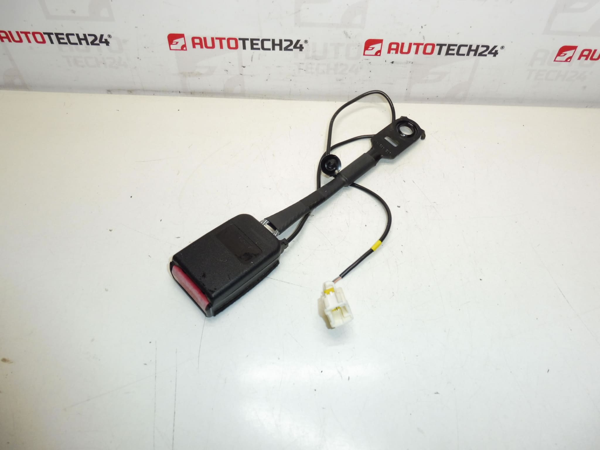 Peuge Hrage Pauge bol držiteľom zámku 308 8975L0