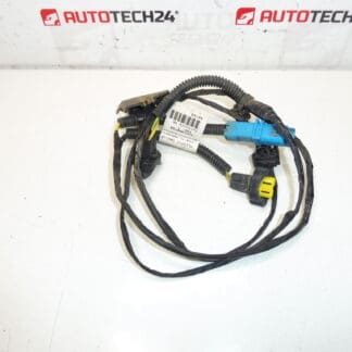 Citroen Peugeot 9653900780 6567LQ Bundle