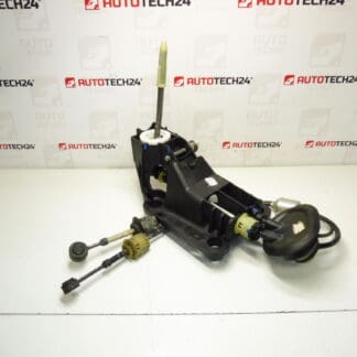 Radiaca páka s lankami Peugeot 207 9654072280 2400CP 2444CZ