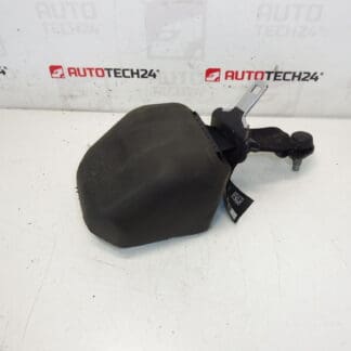 Zadný bezpečnostný pás Citroen C3 II A51 DS3 98019948XX