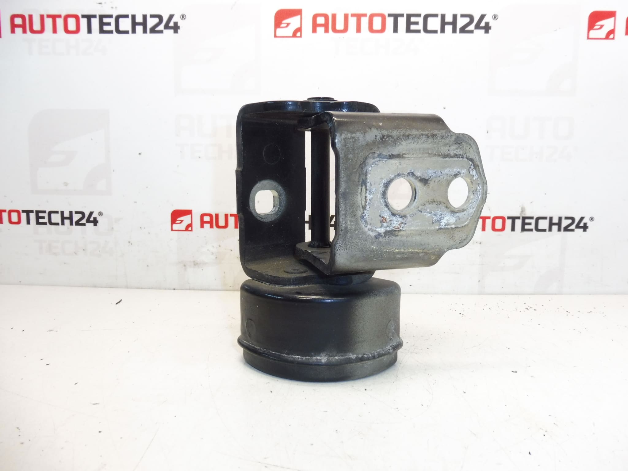 pánt ľavých predných dverí EXLD Peugeot 207 9035T5